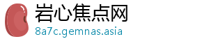 岩心焦点网